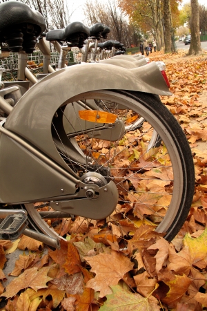 Bikes for rent. Paris in the autumn.の写真素材