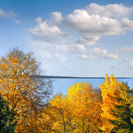 Panorama. Autumn Landscape. Park in Autumn. The bright colors of autumn in the park by the lake.の写真素材