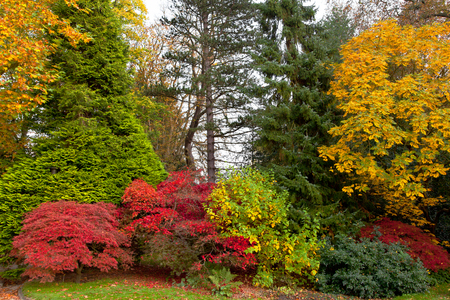 The bright colors of autumn trees. Autumn landscape.の写真素材