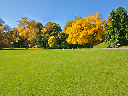 Autumn Landscape. Park in Autumn.  の写真素材