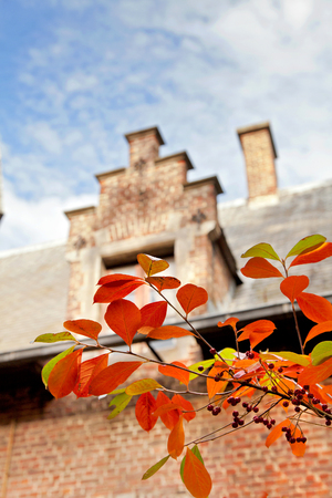 Branch of a tree in front of the house. Autumn cityscape.の写真素材