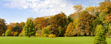 Autumn Landscape. Park in Autumn. Panorama. の写真素材