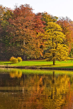 Autumn Landscape. Park in Autumn. The bright colors of autumn in the park by the lake.の写真素材