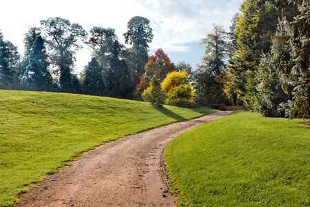 Path in the autumn park. Autumn Landscape. Park in Autumn. Forest  in Autumn.の写真素材