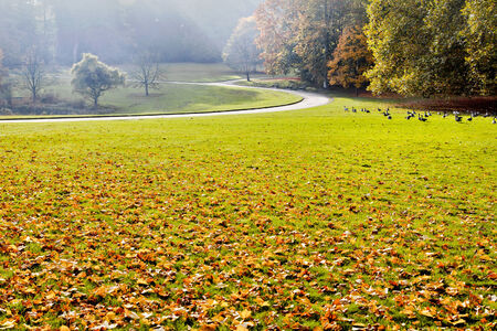 Path in the autumn park. Autumn Landscape. Park in Autumn. Geese in autumn park.の写真素材
