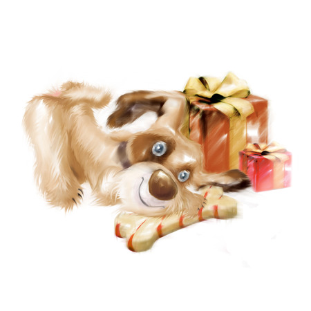 Puppy gets a gift. Drawing puppy.の写真素材
