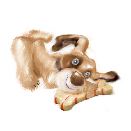 Puppy gets a gift. Drawing puppy.の写真素材