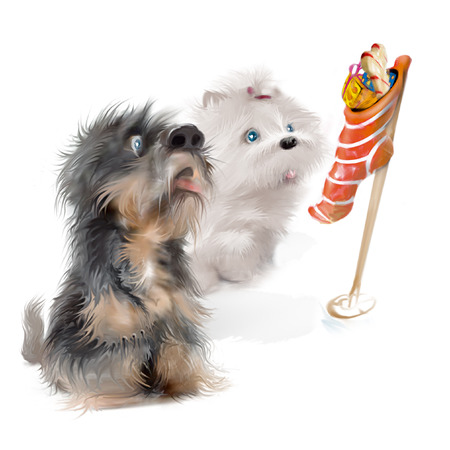 Puppy gets a gift. Drawing puppy.の写真素材