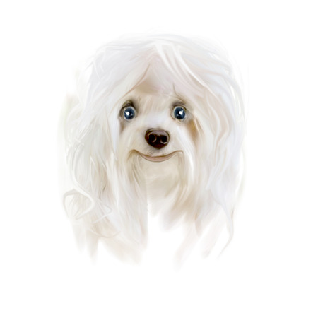 Surprised puppy. Drawing puppy.の写真素材