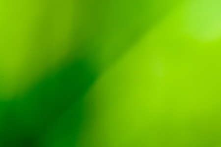 Green spaceの写真素材
