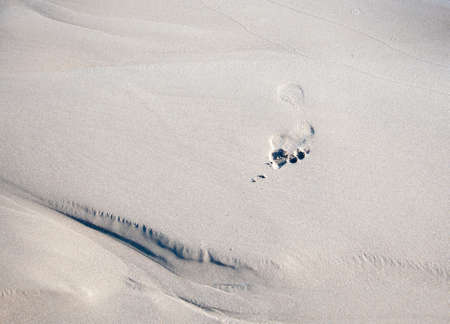 Foot print in wet sand with texture の写真素材