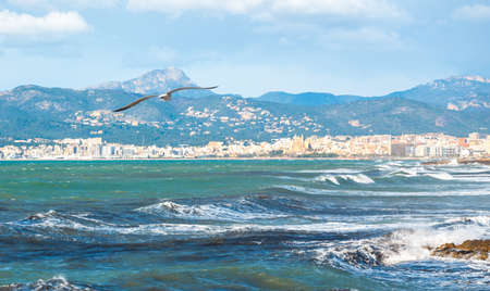 Bay of Palma de Mallorca in February の写真素材