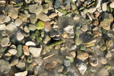 Green pebble rocks and seashells on a beach, possibly epidote, a common metamorphic mineral or a product of hydrothermal alteration of various minerals の写真素材