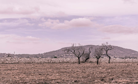 Moody dusty vintage landscape with dancing art nouveau trees, drystone wall, red earth and clouds 
