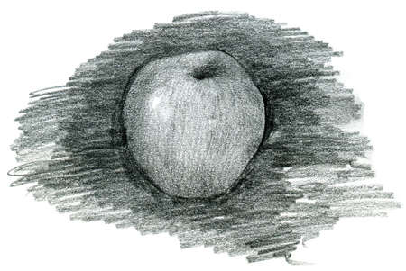 Apple doodle pencil sketch in gray original drawingの写真素材