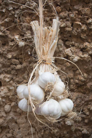 Garlic bouquet and stucco wall, Mallorca, Balearic islands, Spain の写真素材