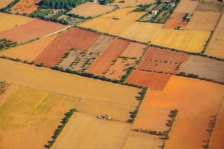 landscape pattern in greens and earth colors in Mallorca, Balearic islands, Spainの写真素材