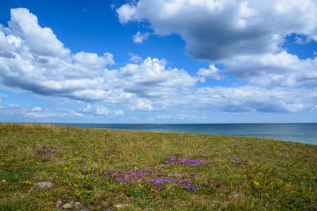 Curved heath and clouds  Havang, Simrishamn, south Sweden