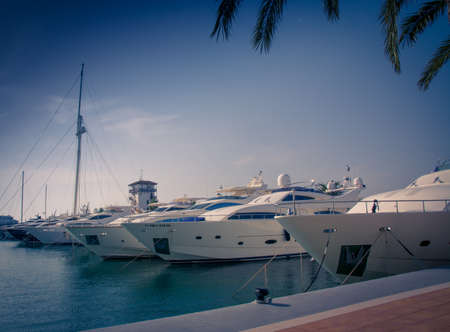 Luxury yachts moored in Alcudia, Majorca, Balearic islands, Spain のeditorial素材