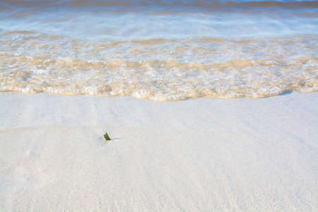 Morning waves closeup. Mallorca, Balearic islands, Spain in July.の写真素材