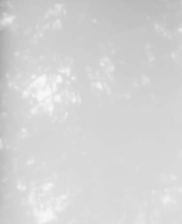 Nature background gray. 
