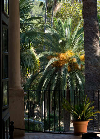 ALFABIA GARDENS, MAJORCA, SPAIN - OCTOBER 25 2013: Lush balcony view on October 25 2013, Alfabia gardens, Mallorca, Spain.のeditorial素材