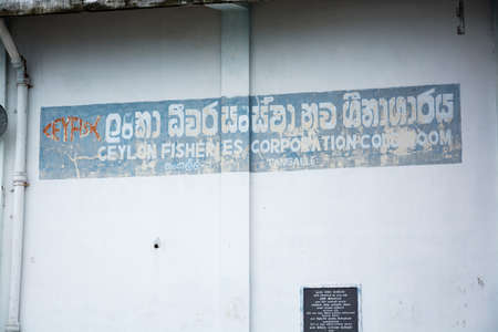 TANGALLE, SOUTHERN PROVINCE, SRI LANKA, ASIA - DECEMBER 20, 2014: Colorful wood fishing boats moored on December 20, 2014 in Tangalle port, Southern Province, Sri Lanka.のeditorial素材