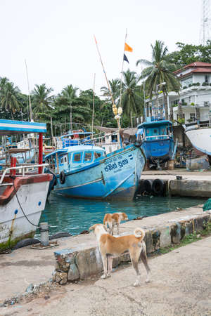 TANGALLE, SOUTHERN PROVINCE, SRI LANKA, ASIA - DECEMBER 20, 2014: Colorful wood fishing boats moored on December 20, 2014 in Tangalle port, Southern Province, Sri Lanka.のeditorial素材