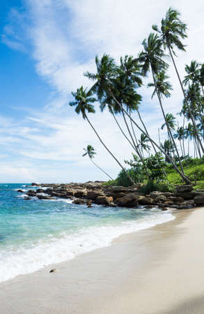 Tropical rocky beach with coconut palm trees, sandy beach and ocean. Tangalle, Southern Province, Sri Lanka, Asia.の写真素材