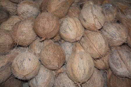 Coconuts in a market in Southern Province, Sri Lanka, Asia.
