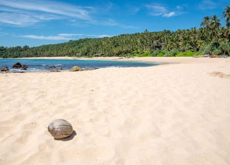 Beach with coconut. Paradise beach with white sand and coconut. Aman beach, Tangalle, Southern Province, Sri Lanka, Asia.のeditorial素材