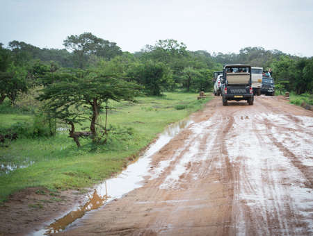YALA NATIONAL PARK, SOUTHERN PROVINCE, SRI LANKA, ASIA - DECEMBER 18, 2014: Leopard watch. Loud diesel run safari jeeps crowding  on muddy road to get a glimpse of a leopard on December 18 2014 in Yala National Park, Sri Lanka, Southern Province, Asia,のeditorial素材