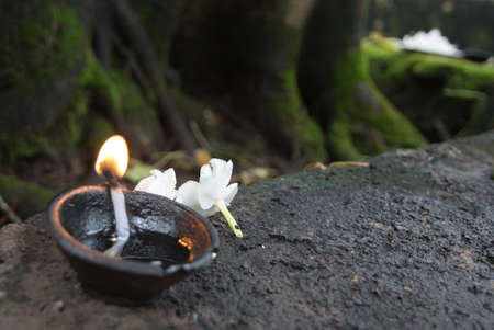 Flowers and oil burning. Ceremonial flowers and oil burning arrangement, Sri Lanka, Asia.の写真素材