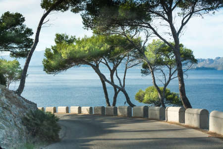 Road bend through pine forest near the Mediterranean sea, Majorca, Balearic islands, Spain.の写真素材