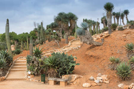 BOTANICACTUS, SES SALINES, MAJORCA, SPAIN - OCTOBER 26, 2013: Staircase, red earth and cactus scenery in Botanicactus garden on October 26, 2013 in Ses Salines, Majorca, Spain.のeditorial素材
