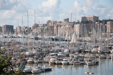 Palma skyline to Paseo Maritimo with small boat marina.の写真素材