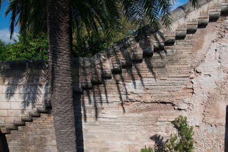 Old masonry with zigzag pattern and palm tree trunk leaves and shadow, Palma de Mallorca, Balearic islands, Spain.の写真素材
