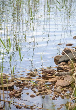Rocky beach closeup Lake Vanern, Varmland, Sweden on Midsummer.の写真素材
