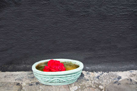 Green bowl with red flower and charcoal gray wall.の写真素材