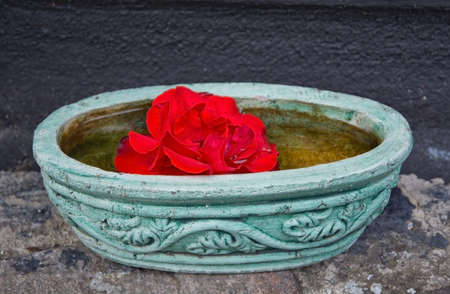 Green bowl with red flower closeup.の写真素材