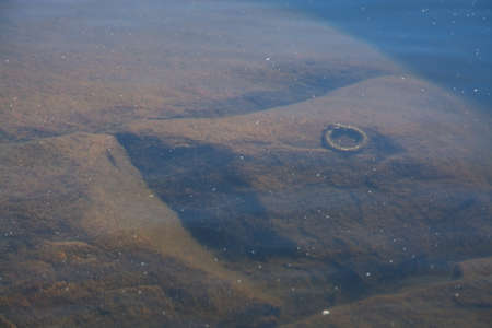 Boat mooring knob submersed under shallow water in lake.の写真素材