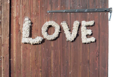 Wall with love. Red wooden wall with the word LOVE made of moss and wire mesh in rustic style decoration.の写真素材