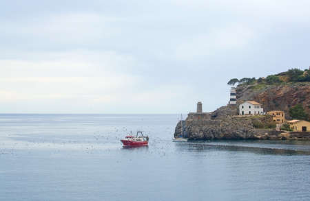 PORT DE SOLLER, MALLORCA, SPAIN - APRIL 22, 2015: Flock of seagulls crowd around a fishing boat returning with catch on April 22, 2015 in Port de Soller, Mallorca, Balearic islands, Spain.のeditorial素材