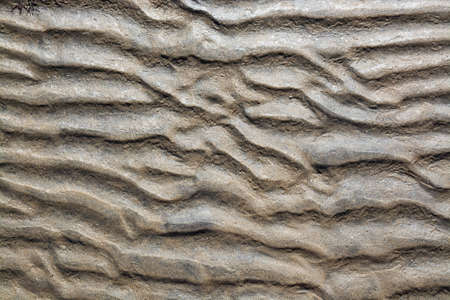 Abstract sand pattern seaside natural organic landscape detail.