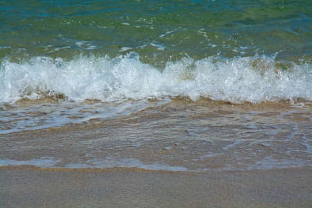 Green wave whith white seafoam closeup on sandy paradise beach Sri Lanka Asia.
