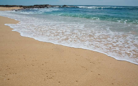 Paradise beach with green turquoise waves coconut palm trees and fine untouched sand Southern Province Sri Lanka Asia.の写真素材