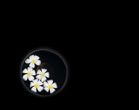 White beautiful Frangipani flowers floating in water urn isolated on black.の写真素材