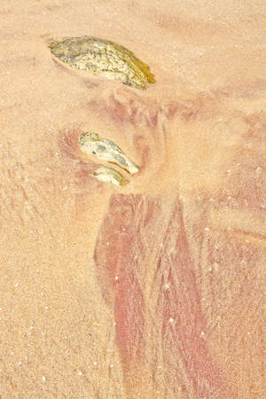 Sand pattern with golden and red sand in Sri Lanka Asia.