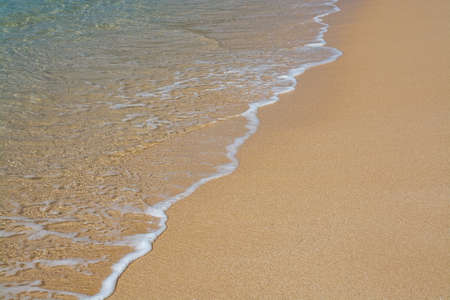 Green wave whith white seafoam closeup on sandy paradise beach Sri Lanka Asia.