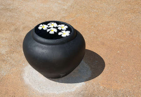 White beautiful Frangipani flowers floating in water urn on stone backgrund in Sri Lanka Asia.の写真素材
